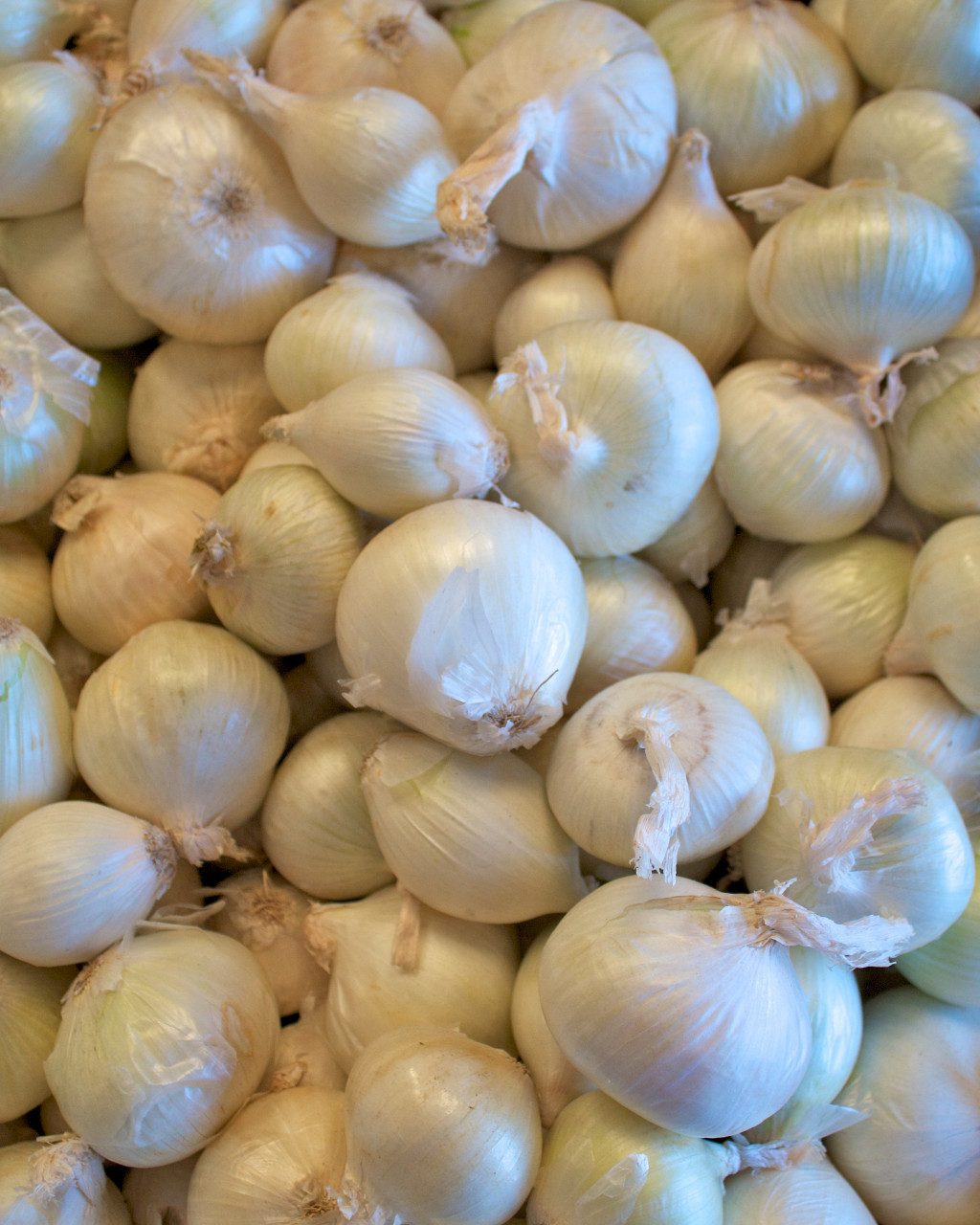 Sinus infection Garlic pills