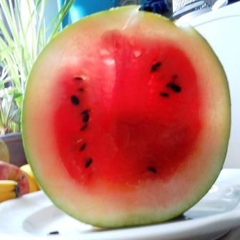 The pith is the white part of the watermelon between the delicious red / pink fruit  and the green outer skin.
