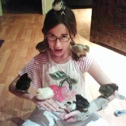 Chickens are great pets if you have the time, space and resources to care for them.