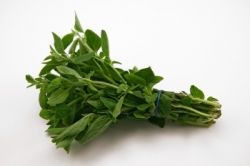 Photo credit:  FreeDigitalPhotos.Net