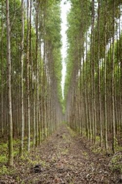 Photo credit:  FreeDigitalPhotos.Net