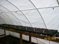 How to Build a Cheap Greenhouse