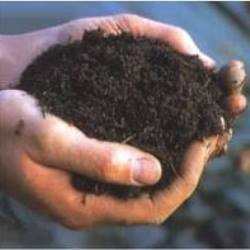Compost