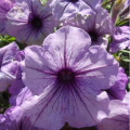 5 Outdoor Spring Cleaning Tasks