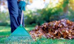 Outdoor Spring Cleaning List