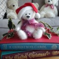The Best Books about Christmas