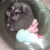 I love to nap! I love to nap!