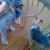Hanging with cousin Lucy Liu Hanging with cousin Lucy Liu