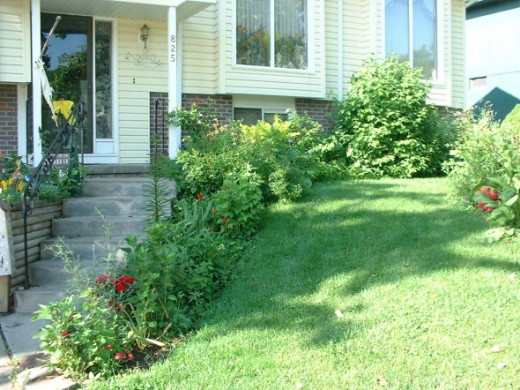 Front view of our house showing the garden by the steps again full of perennials and hosta.