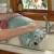 Poor Scrappy - he was always so good for his bathie! Poor Scrappy - he was always so good for his bathie!