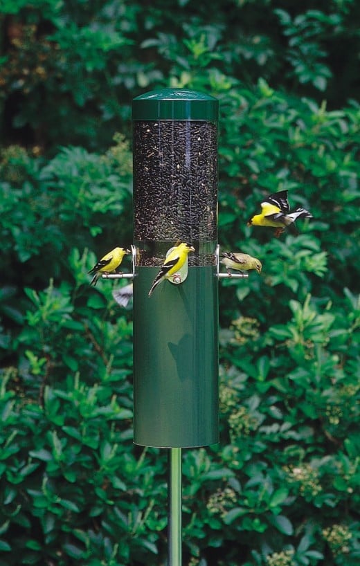 Tube Feeder with Anti-Squirrel Guard on Pole