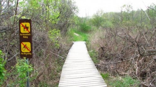 A bridged trail