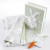 Bunnies in the Garden Luxurious 3-Piece Blanket Baby Gift Set Bunnies in the Garden Luxurious 3-Piece Blanket Baby Gift Set