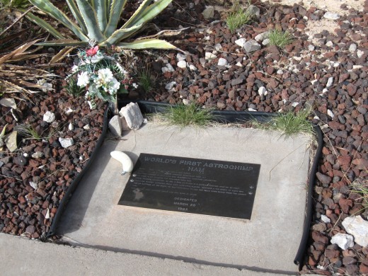 Grave of Ham the space chimp who preceded U.S. astronauts into space and retired to entertain visitors at National Zoo in Washington, DC and North Carolina Zoo 