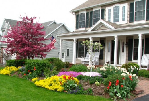 Our front garden beds