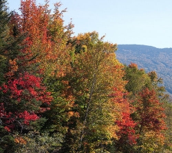 Mount Washington fall foliage