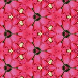 Six-Sided Rose Blossom Tessellation