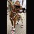 A Carnival reveler presentS his pet dog dressed as Cangaceiro bandit Lampiao, during in pre-carnival festivities along Copacabana beach, in Rio de Janeiro, February 15, 2004. Revelers in Rio presented their costumed pets in a carnival fashion parade A Carnival reveler presentS his pet dog dressed as Cangaceiro bandit Lampiao, during in pre-carnival festivities along Copacabana beach, in Rio de Janeiro, February 15, 2004. Revelers in Rio presented their costumed pets in a carnival fashion parade