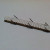 There will be six poles spaced and angled as shown There will be six poles spaced and angled as shown