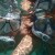 Can't get much clearer that this. Photo taken on my iPhone while in the OverBoard Waterproof Phone Case. Can't get much clearer that this. Photo taken on my iPhone while in the OverBoard Waterproof Phone Case.