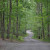 One of the cool, and green, and shady spots we found in our RV One of the cool, and green, and shady spots we found in our RV