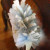 Duster after I shook it out. BTW, the dust adhered to me just fine. Duster after I shook it out. BTW, the dust adhered to me just fine.