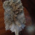 Swiffere duster after 2nd round of dusting. At this point, stick a fork in it, it's done! I tossed it in the trash. Swiffere duster after 2nd round of dusting. At this point, stick a fork in it, it's done! I tossed it in the trash.