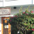 Santiago's is a great place to sit and sip a cool drink for a bit. Santiago's is a great place to sit and sip a cool drink for a bit.