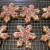 Gingerbread Snowflake cookies with icing and sprinkles Gingerbread Snowflake cookies with icing and sprinkles