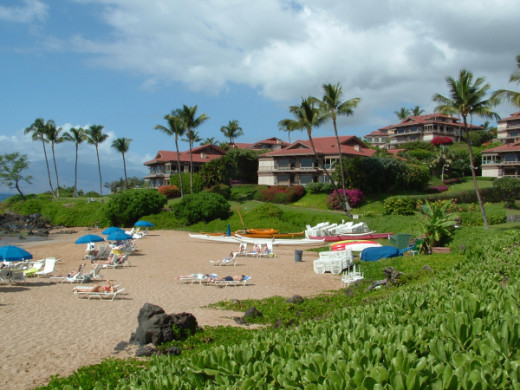 Top 10 Things To Do on Maui