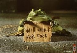 sign for natural pest control, borrowed from All Things Art &amp; Design