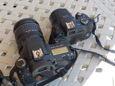 Canon's Super Zoom SX50 is Significantly Smaller Than DSLRs Such as the 7D (photo by Lisa Howard)