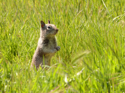 Another Superzoom Sample Photo