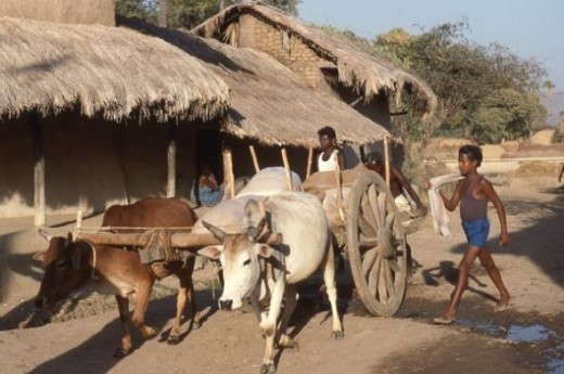 This photo was taken in a village near Sambalpur, Orissa, India.