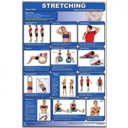 stretching poster