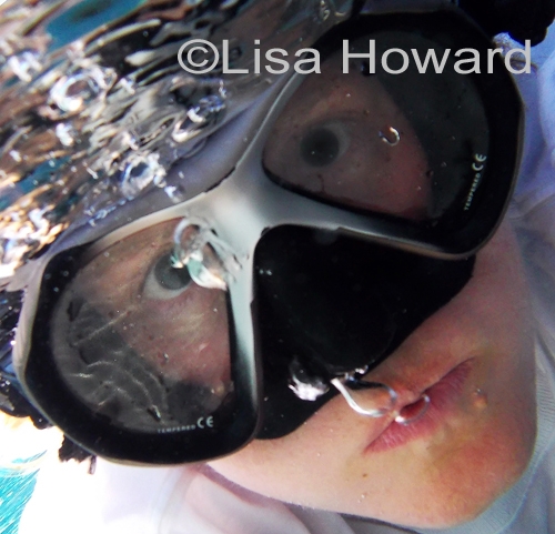 Taken with a Panasonic Lumix DMC-TS4(Photo by Lisa Howard)