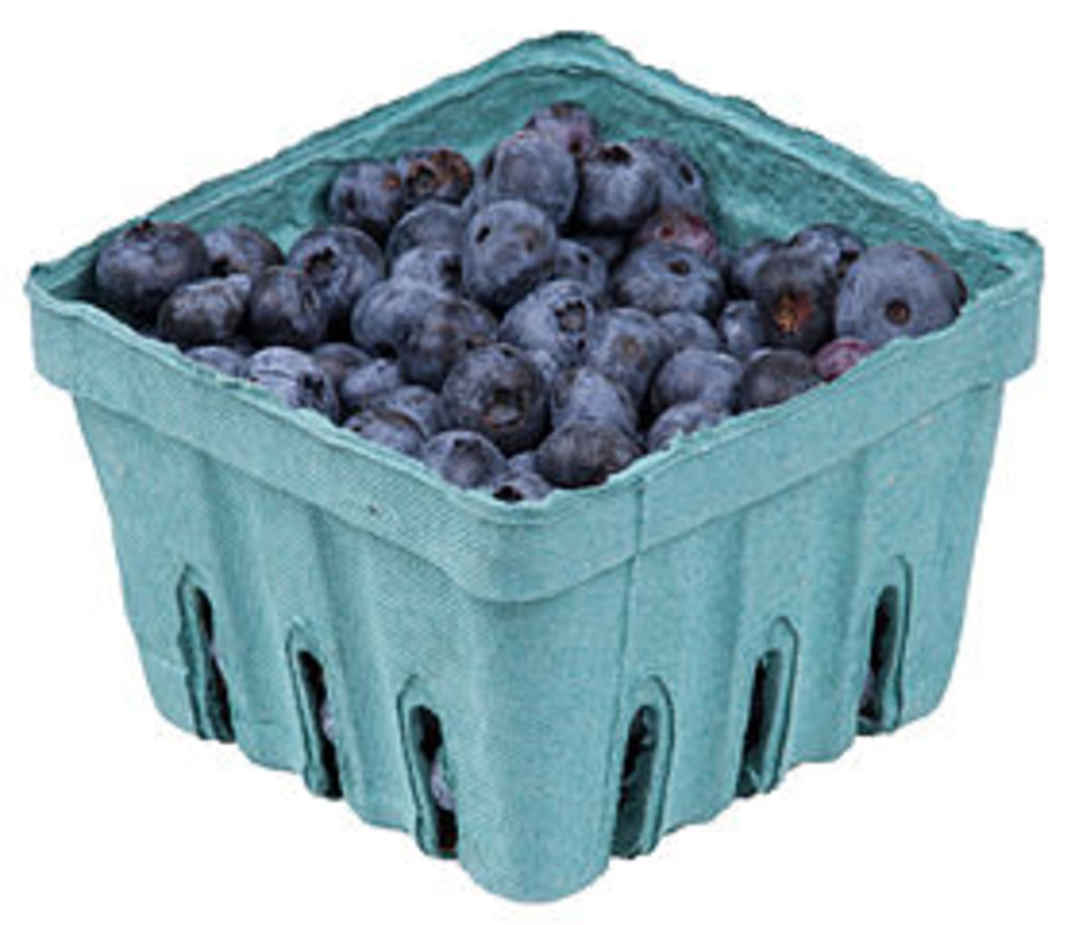 A pack of blueberries from a organic farm co-op program.