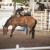 Photojournalism 2012 division, received a blue ribbon of my bronc riding photo