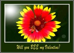Will You BEE My Valentine