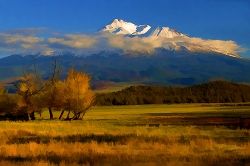 Fall Colors In Shasta Valley