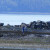 Tide is out at a beach south of the town of Powell RIver Tide is out at a beach south of the town of Powell RIver