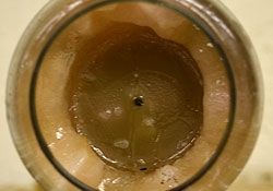 tunneling candle
