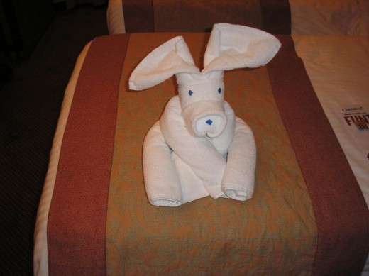 These are our towels.  The cabin boys always made a different animal and left it on our beds each evening.