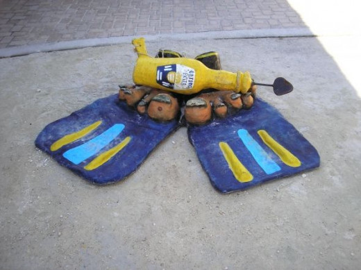 Somebody lost their flippers :)