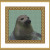 Picture Credit  'Grey Seal'  - designed by the Author, faeriesong, for celtic-cross-stitch.com