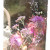 Dried flowers through a window. Dried flowers through a window.