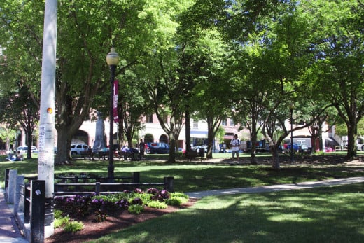 A Downtown Burlington Park