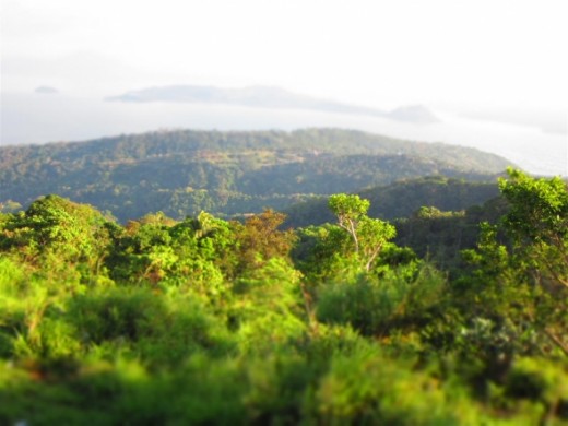 Shot using miniature mode