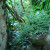 In the Italian Garden. In the Italian Garden.