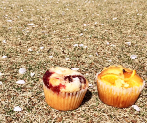 Strawberry Muffins for a Picnic